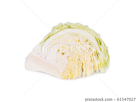 sliced cabbage isolated on white background 61547027