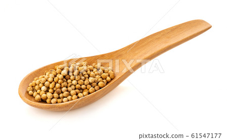 coriander seeds in spoon wooden on white coriander seeds in spoon wooden on white 61547177