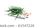 marijuana or cannabis leaf with drug and 61547226