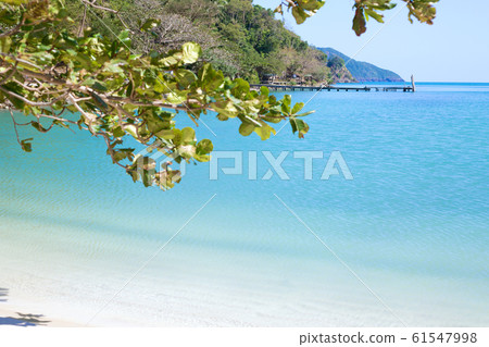 Green leaves on blue sea waves summer background. Sand beach. Green leaves on blue sea waves summer background. Sand beach. 61547998