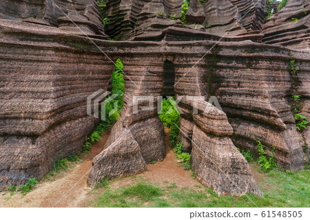 Park of red stones Hongshilin - Hunan China 61548505