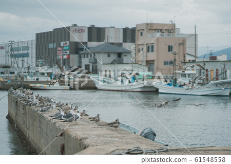 Seagulls, seagulls, AEON, Onahama, Iwaki-shi, Fukushima 61548558
