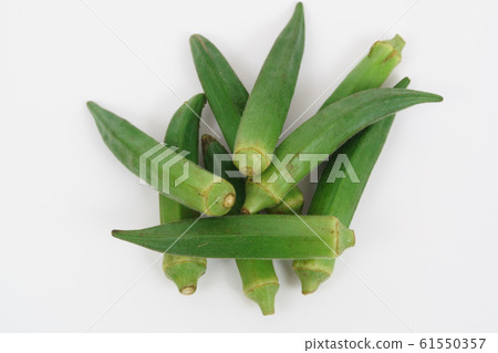 Okra 61550357