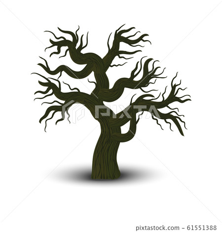 oak isolated on white background. Vector 61551388