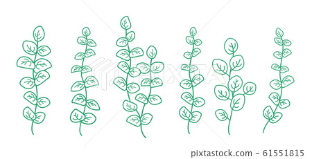 art set of green eucalyptus branches with leaves 61551815