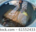 Water mirror trees image reflection reflection water surface 61552433