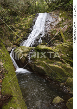 Seiryu Falls(兵庫縣豐岡市丹東町) Seiryu Falls(兵庫縣豐岡市丹東町) 61552560