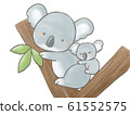 Koala parent and child 61552575