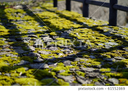 Green sidewalk 61552869