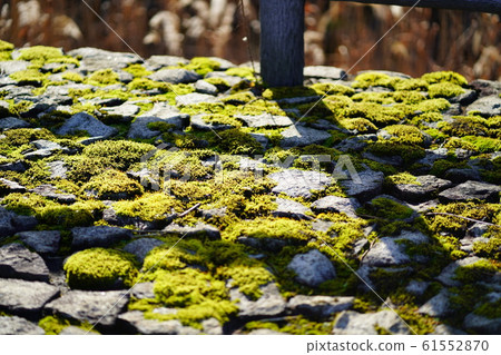 Green sidewalk Green sidewalk 61552870