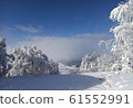 Snow, Mountain, Ski, Rime, Snow, Tree 61552991