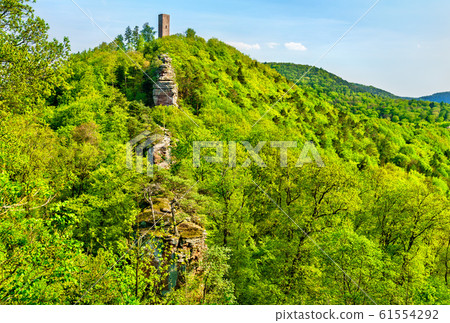 Scharfenberg Castle in the Palatinate Forest. Rhineland-Palatinate, Germany Scharfenberg Castle in the Palatinate Forest. Rhineland-Palatinate, Germany 61554292