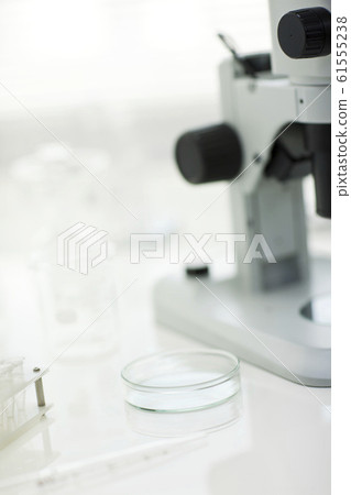 研究 研究 61555238