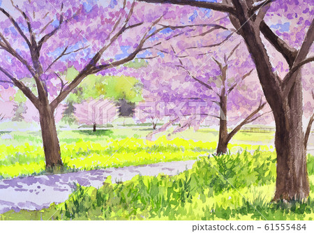 櫻花在水上樂園 61555484