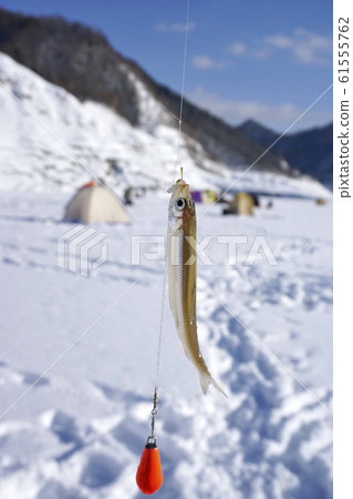 釣魚 61555762