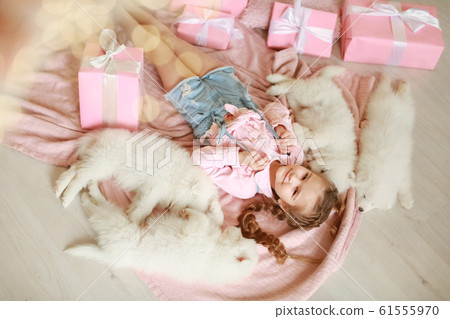 Little girl with white puppies and gift boxes 61555970