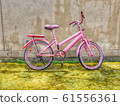 61556361