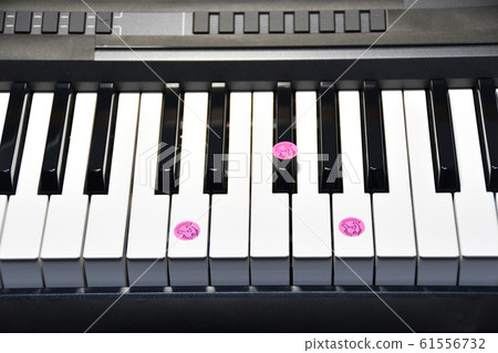 鋼琴和弦D 鋼琴和弦D 61556732