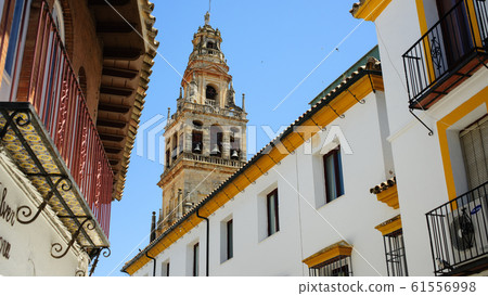 Cordoba Patio Festival [Spain] 61556998