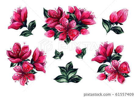 Japanese Plum Blossom Flowers Floral Elements Stock Illustration