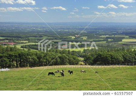 Ranch of Shihoro Kogen 61557507