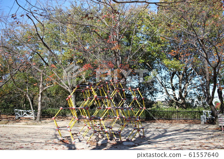 Park playground equipment jungle gym Park playground equipment jungle gym 61557640