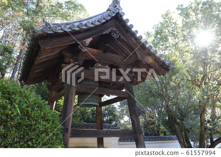 Akishinodera 61557994