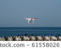 Drone and sea 61558026
