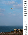 Drone and sea 61558033