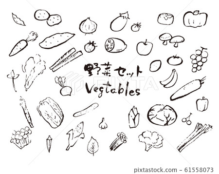 Vegetable illustration set Vegetable illustration set 61558073
