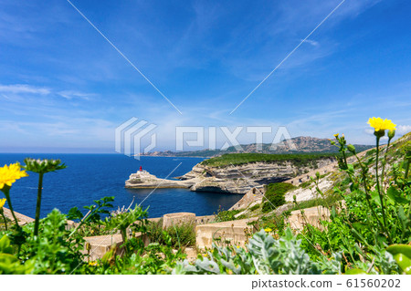 Corsica island Corsica island 61560202