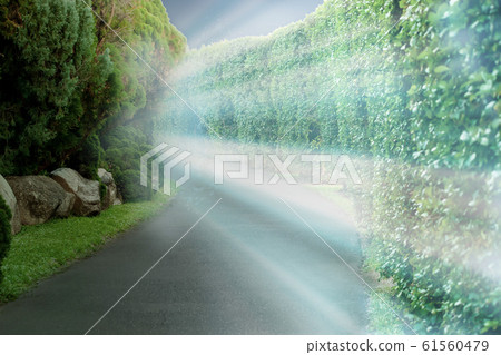 Light ray in walk way at nautre park. Light ray in walk way at nautre park. 61560479