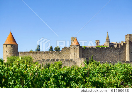 Champagne vineyards at Carcassonne Champagne vineyards at Carcassonne 61560688