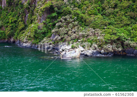 米爾福德峽灣 61562308