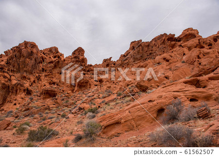 Valley of Fire Valley of Fire 61562507