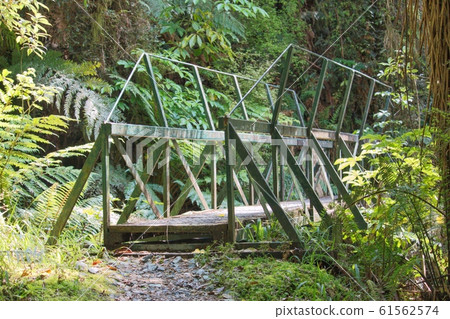 New Zealand Bridge New Zealand Bridge 61562574