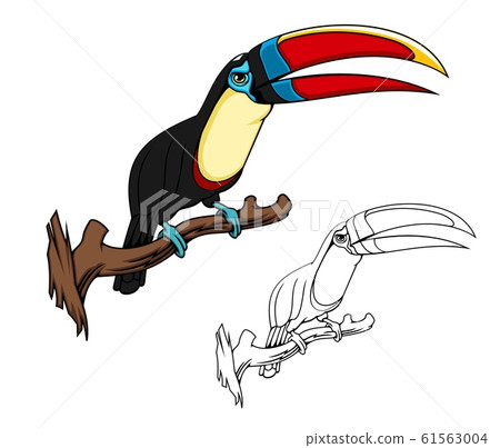 Citron throated toucan mascot, tropical bird Citron throated toucan mascot, tropical bird 61563004