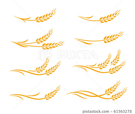 wheat ears and oats spikes icons set-插圖素材 [61563278] - PIXTA圖庫