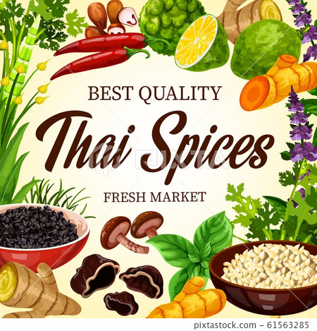 Thai cooking spices and herbs, Asian seasonings Thai cooking spices and herbs, Asian seasonings 61563285