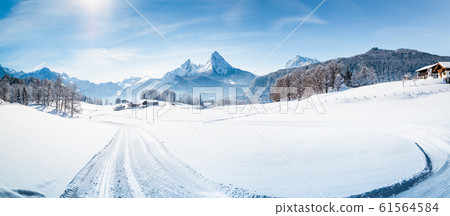 Winter wonderland scenery with cross-country skiing track in the Alps 61564584
