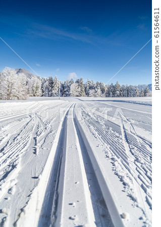 Cross-country skiing track in winter landscape 61564611