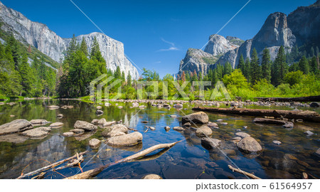 Yosemite Valley in summer, California, USA Yosemite Valley in summer, California, USA 61564957