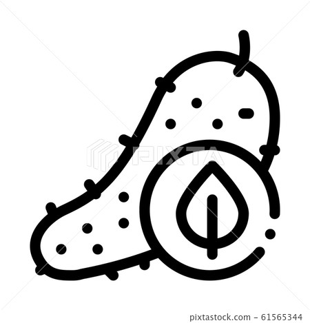 Cucumber Leaf Icon Vector Outline Illustration Cucumber Leaf Icon Vector Outline Illustration 61565344