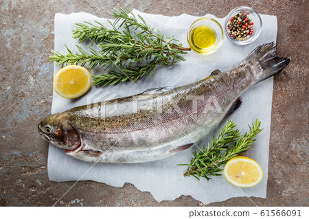 Raw trout fish 61566091