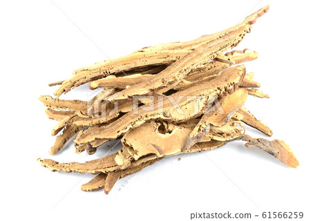 Dried lingzhi mushroom ganoderma with perforated Dried lingzhi mushroom ganoderma with perforated 61566259