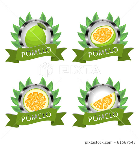Vector illustration for ripe fruit green pomelo 61567545