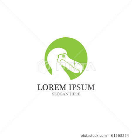 dodo bird logo and symbol vector 61568234