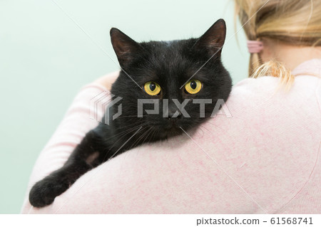 Black cat on the shoulder of woman Black cat on the shoulder of woman 61568741