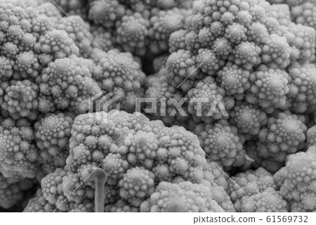 Detail of a Romanesco broccoli Detail of a Romanesco broccoli 61569732
