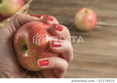 closeup female hand holding ripe red apple 61570419